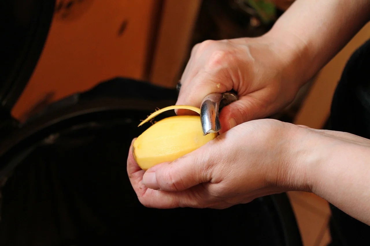 Réussir la culture de la pomme de terre avec des méthodes simples